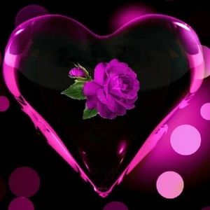 Meet your Posher, Cheryl